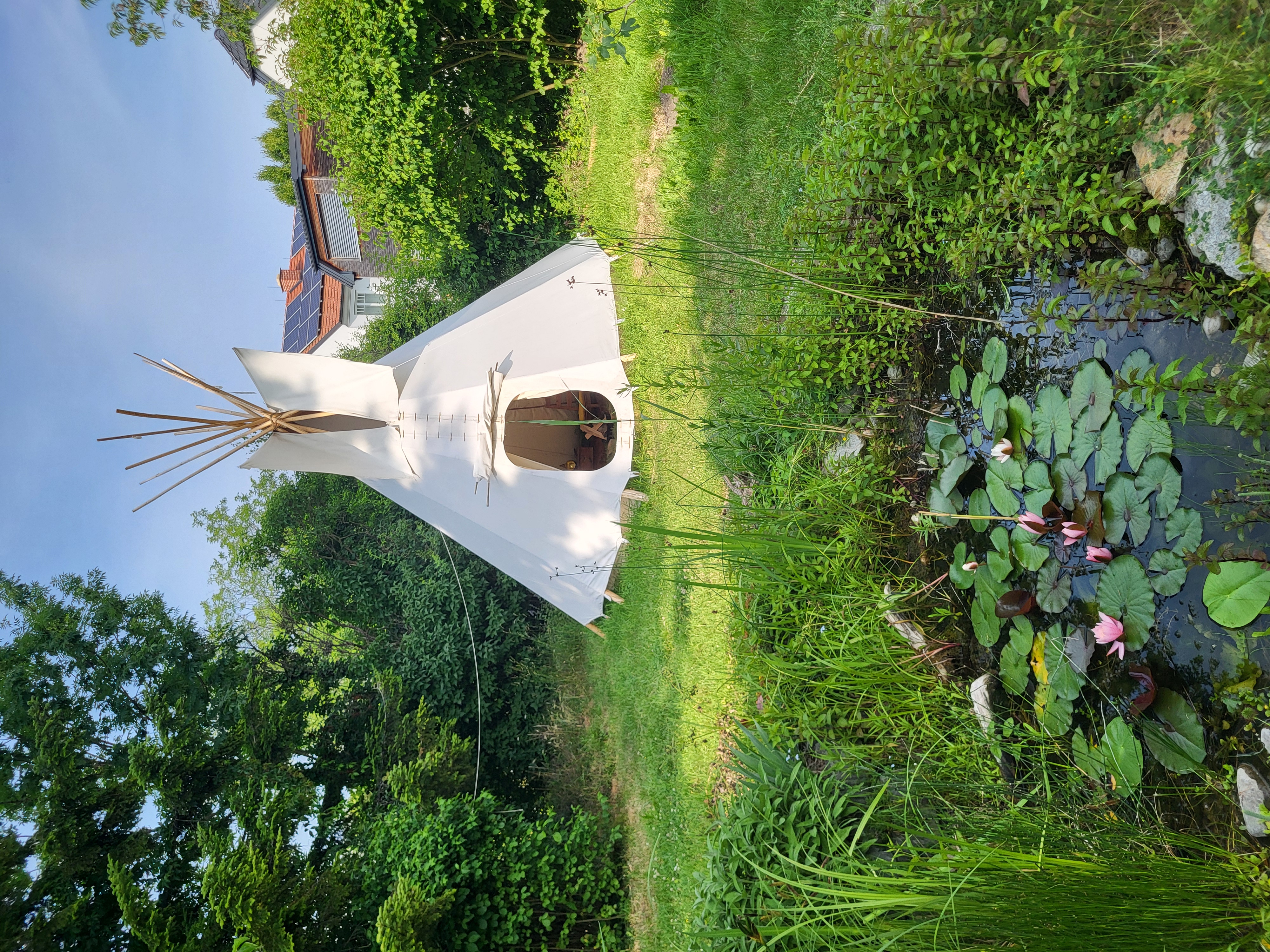 Tipi